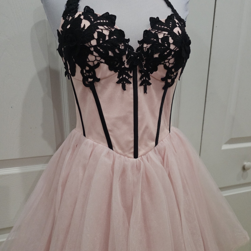 Dolls Kill Unholy Pastel Goth Pink Black Lace The Night Of Corset Tutu Dress S - Picture 10 of 12